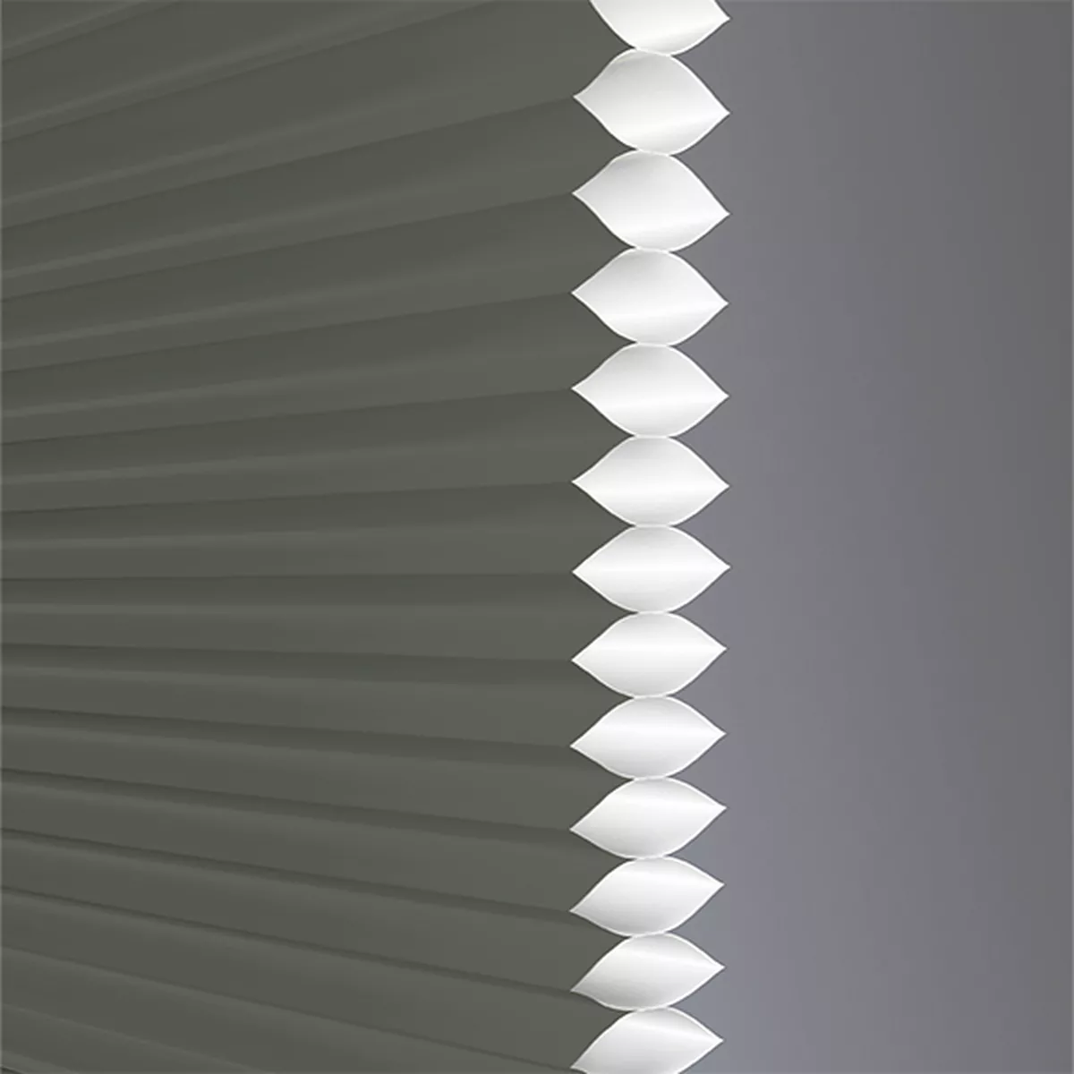 Bolero Translucent - Image 2