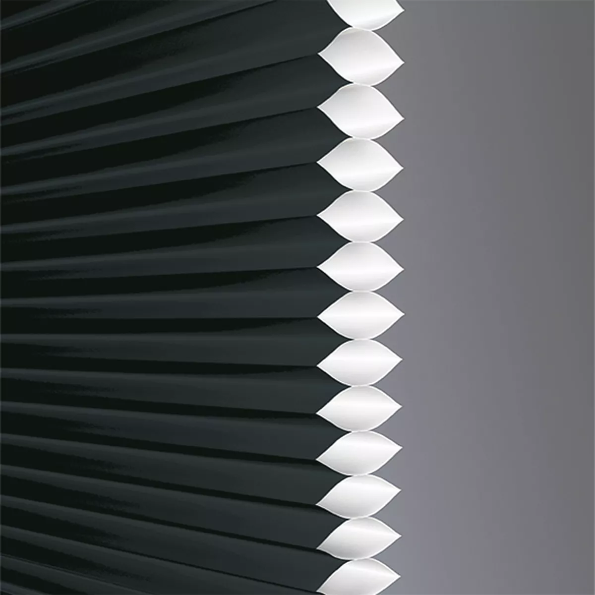 Bolero Translucent - Image 4