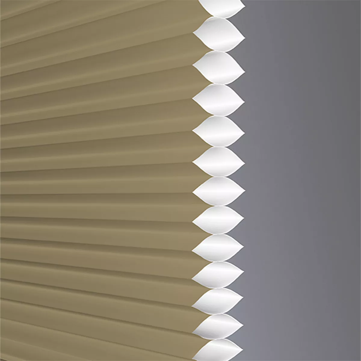 Bolero Translucent - Image 3