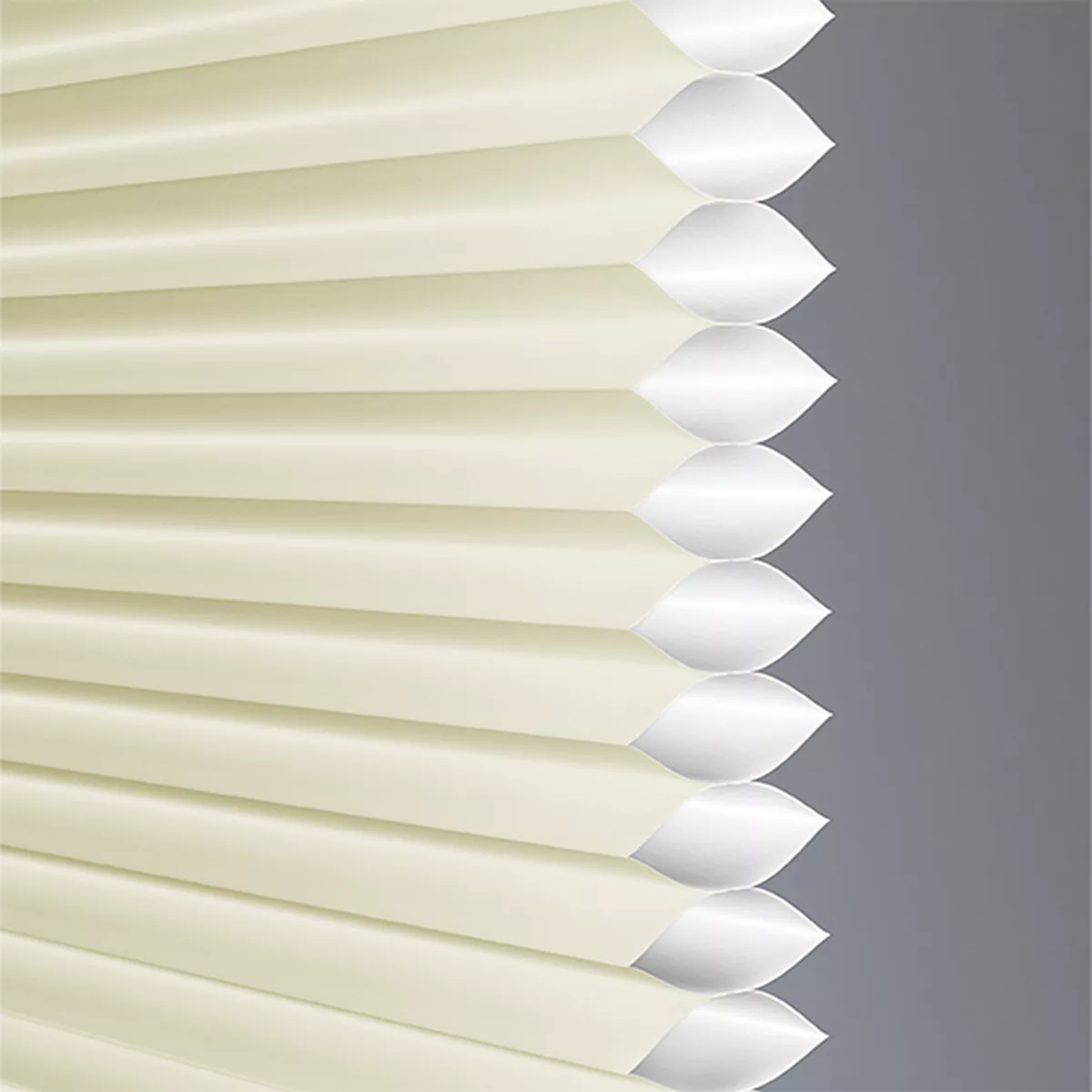 Romance Translucent - Image 3