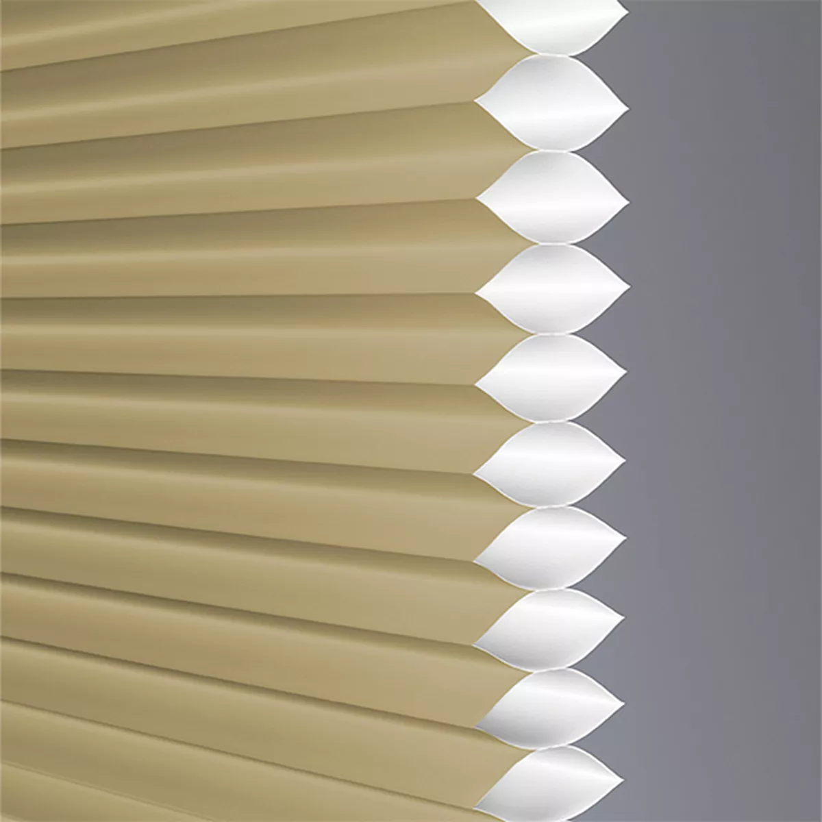 Romance Translucent - Image 2