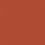 South-Beach-Blackout_Pumpkin